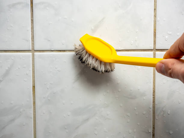 Best Mold Removal Near Me  in Stanaford, WV