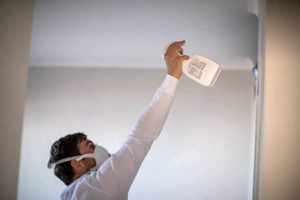Certified Mold Removal in Stanaford, WV