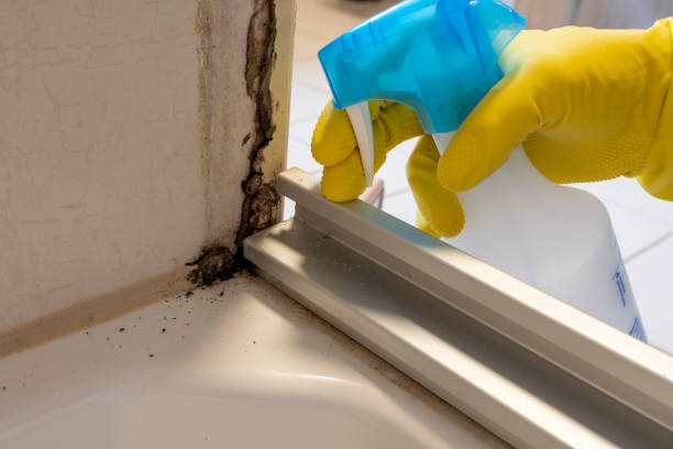 Best Mold Cleaning Services  in Stanaford, WV
