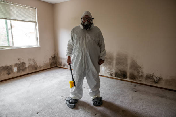 Best Mold Damage Repair  in Stanaford, WV